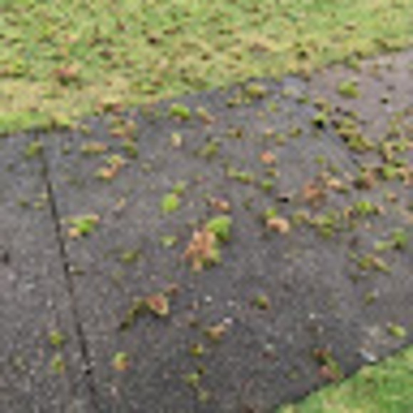 Meet your Posher, Samuel - Picture 1 of 1